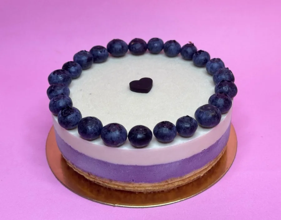 Raw Vegan Blueberry Cheesecake